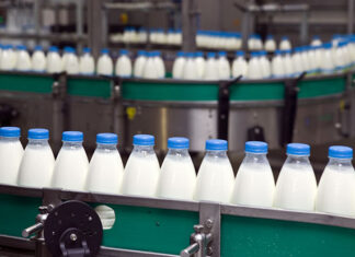 Ruminant hayvanlarda vitamin ve mineral desteği süt verimliliğini artırıyor