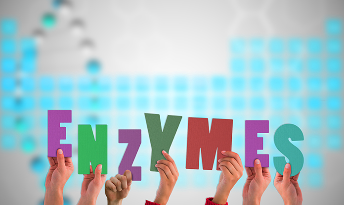 Yem Enzimleri ve Küresel Pazar Durumu